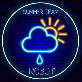 summer_team_1bot